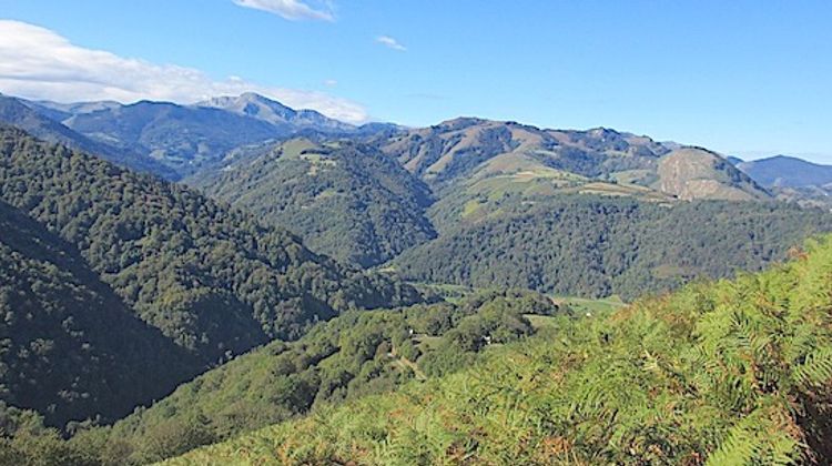 MONTAGNE BASQUE – Appel à projets de l’Agglo : Gure Ondare Naturala